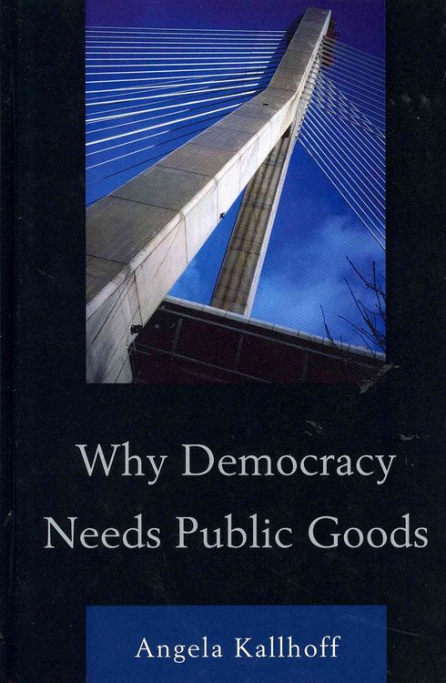 Produktbild: Why Democracy Needs Public Goods