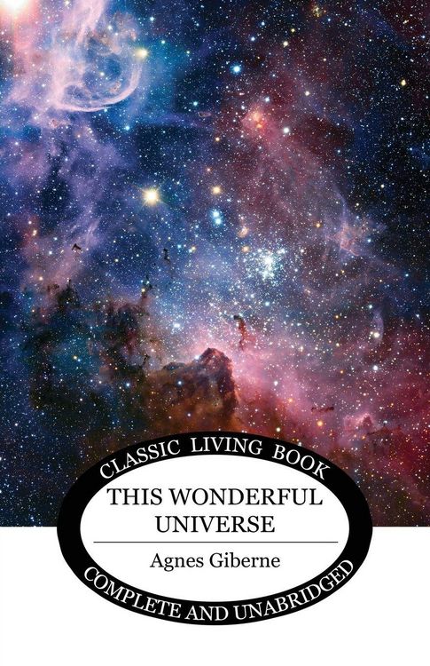 Produktbild: This Wonderful Universe