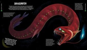 Produktbild: University of Cambridge: Beasts from the Deep