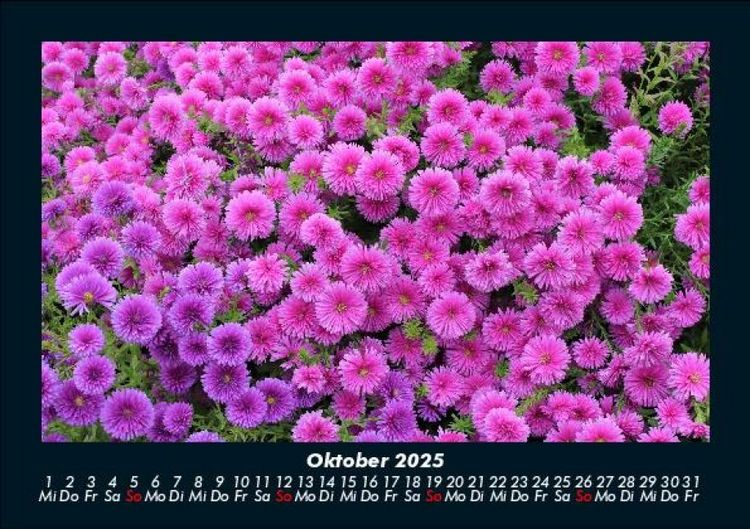 Produktbild: Blumentr&auml;ume 2025 Fotokalender DIN A5