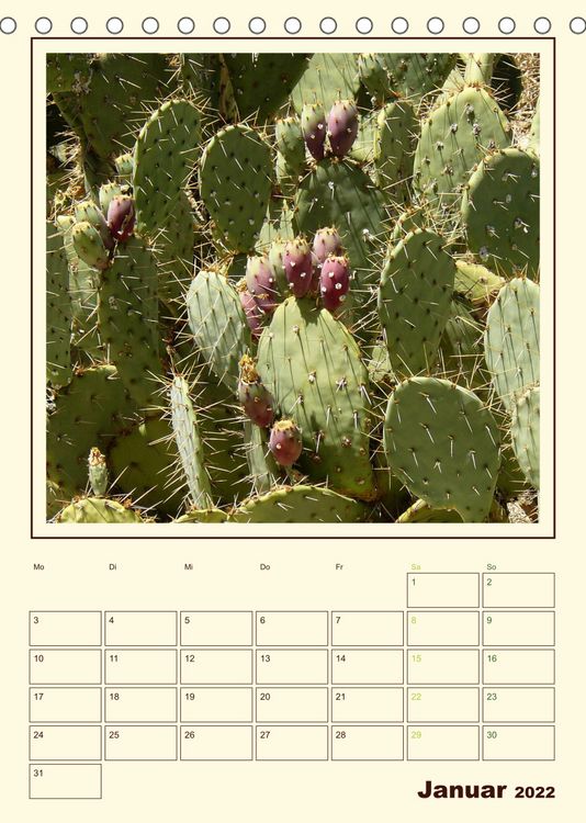 Produktbild: Wilde Kakteen Amerikas (Tischkalender 2022 DIN A5 hoch)