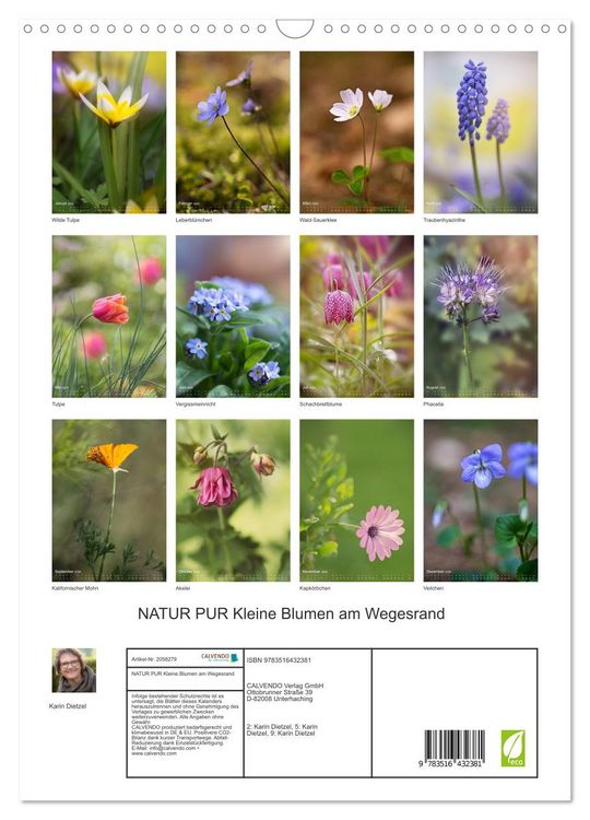 Produktbild: NATUR PUR Kleine Blumen am Wegesrand (Wandkalender 2026 DIN A3 hoch), CALVENDO Monatskalender