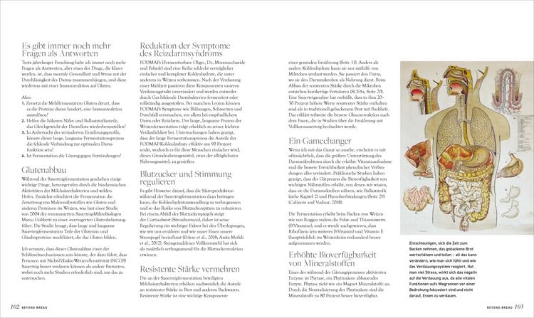 Produktbild: Beyond Bread. S&uuml;&szlig;es mit Sauerteig