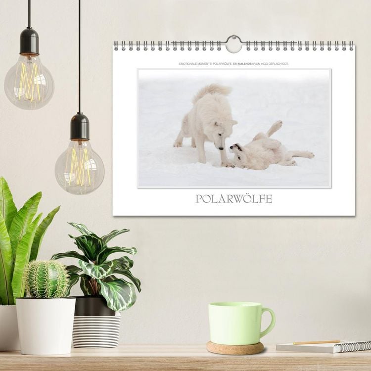 Produktbild: Emotionale Momente: Polarw&ouml;lfe. / CH-Version (Wandkalender 2026 DIN A4 quer), CALVENDO Monatskalender