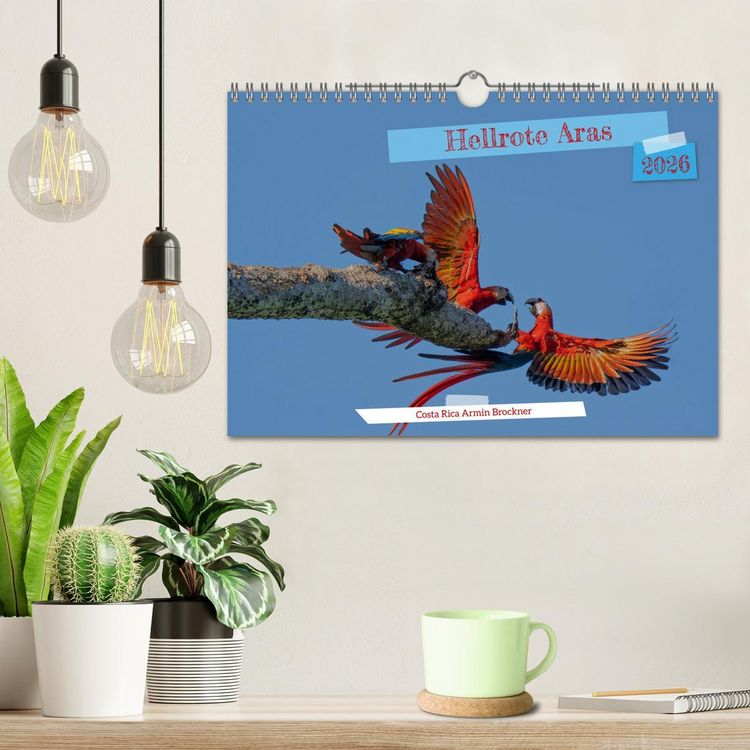 Produktbild: Hellrote Aras (Wandkalender 2026 DIN A4 quer), CALVENDO Monatskalender