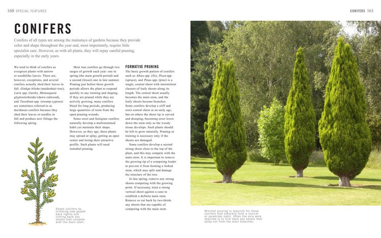 Produktbild: Pruning Simplified