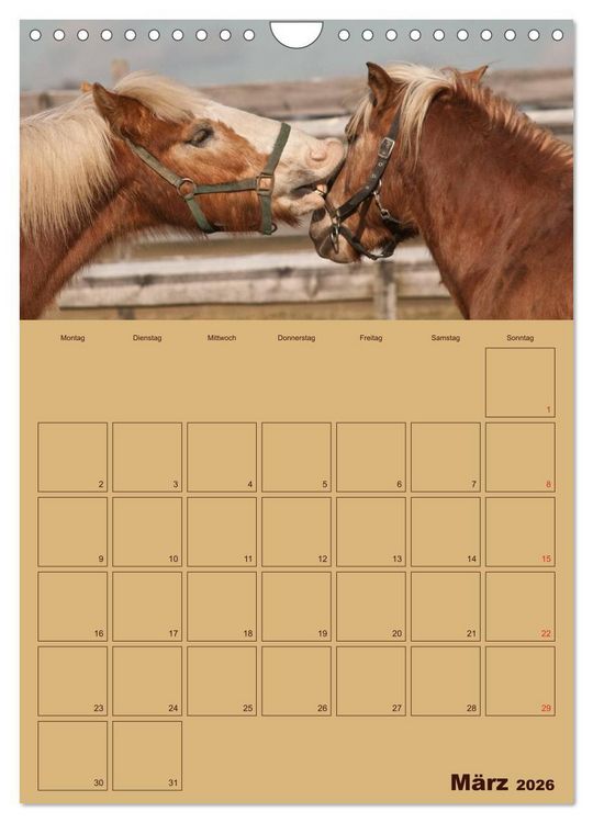 Produktbild: Pferde Gute Freunde (Wandkalender 2026 DIN A4 hoch), CALVENDO Monatskalender