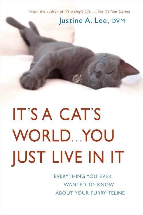 Produktbild: It's a Cat's World . . . You Just Live in It