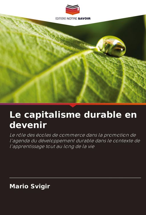 Produktbild: Le capitalisme durable en devenir