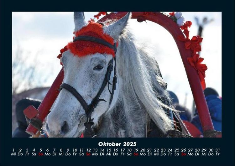 Produktbild: Pferdegefl&uuml;ster 2025 Fotokalender DIN A4