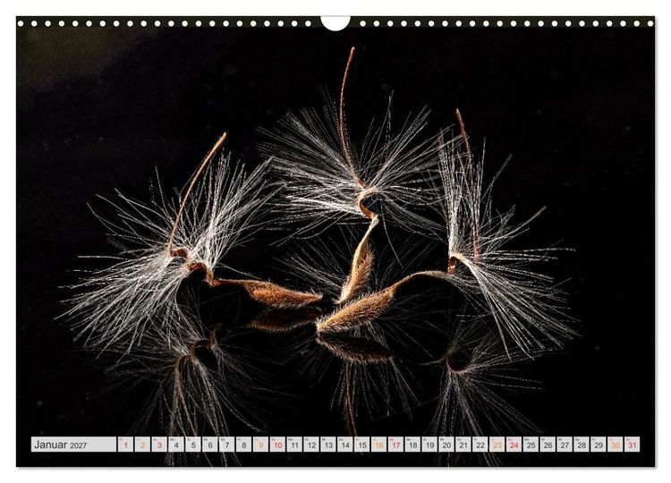 Produktbild: Zauber der kleinen Dinge (Wandkalender 2027 DIN A3 quer), CALVENDO Monatskalender