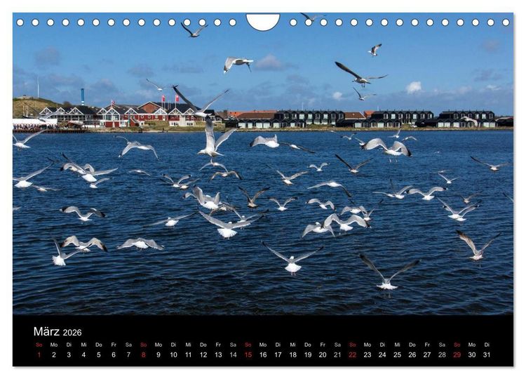 Produktbild: D&auml;nemark - Umgebung von Hvide Sande (Wandkalender 2026 DIN A4 quer), CALVENDO Monatskalender