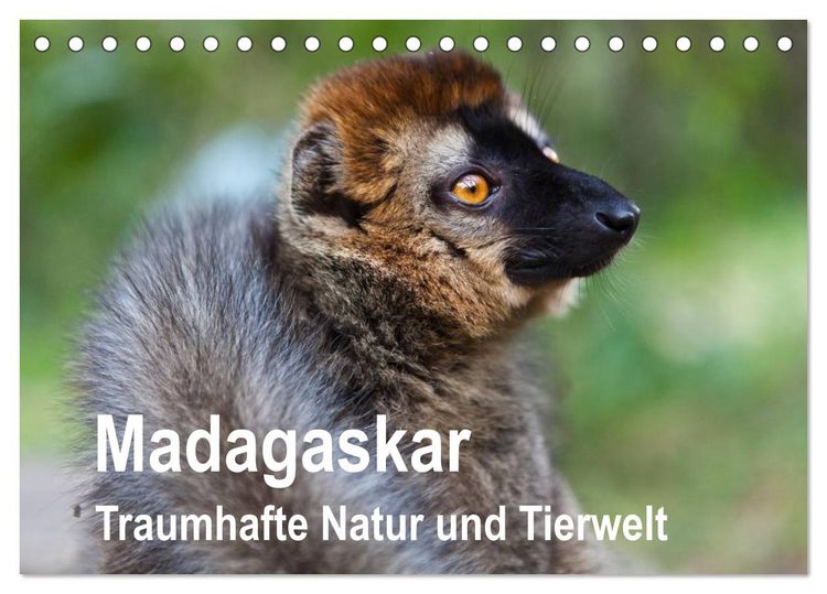 Produktbild: Madagaskar. Traumhafte Natur und Tierwelt (Tischkalender 2026 DIN A5 quer), CALVENDO Monatskalender