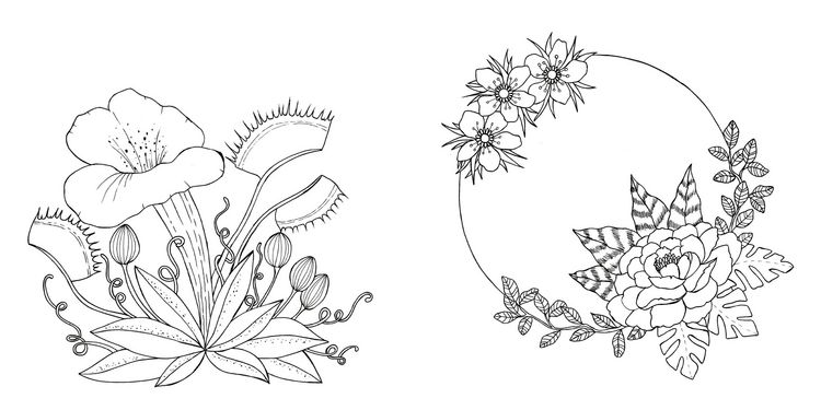 Produktbild: Tropical Flowers &ndash; Exotische Blumen- und Pflanzen-Motive ausmalen
