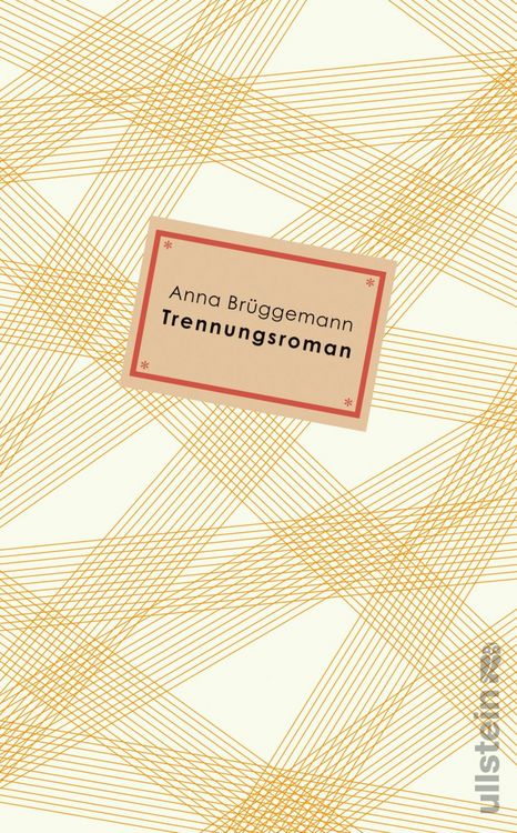 Produktbild: Trennungsroman