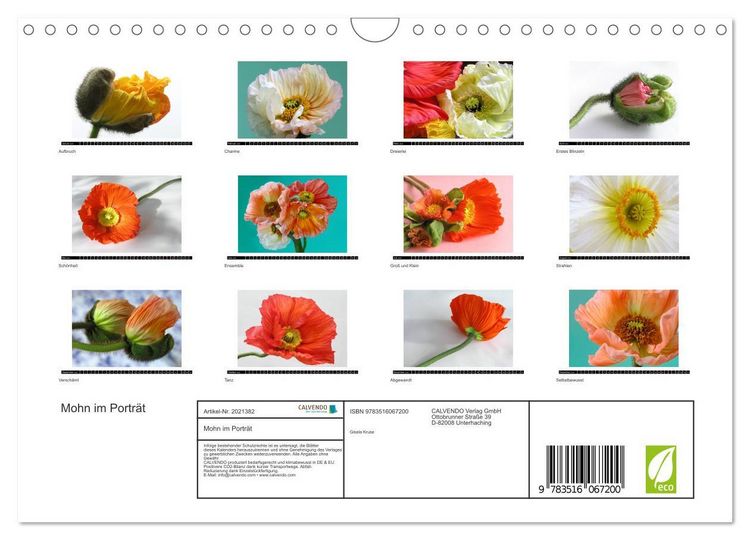 Produktbild: Mohn im Portr&auml;t (Wandkalender 2026 DIN A4 quer), CALVENDO Monatskalender