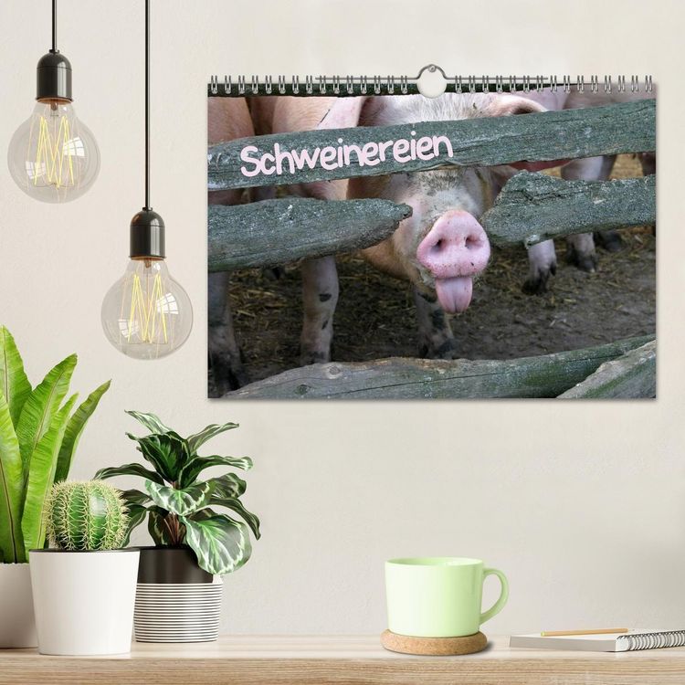 Produktbild: Schweinereien (Wandkalender 2027 DIN A4 quer), CALVENDO Monatskalender
