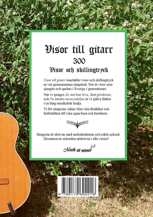 Produktbild: Visor till gitarr