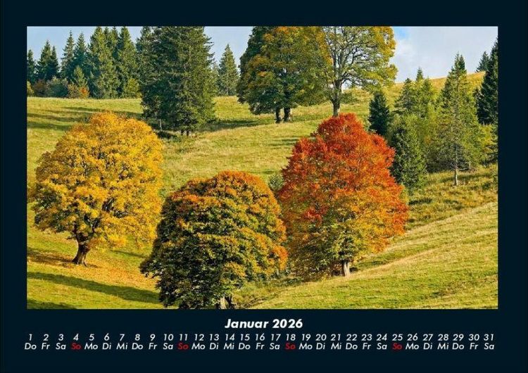 Produktbild: B&auml;ume 2026 Fotokalender DIN A4