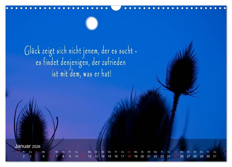 Produktbild: wundersch&ouml;ne Lichtmomente (Wandkalender 2026 DIN A3 quer), CALVENDO Monatskalender