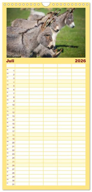 Produktbild: Familienplaner 2026 - Esel - h&uuml;bsch, klug und flei&szlig;ig mit 5 Spalten (Wandkalender, 21 x 45 cm) CALVENDO