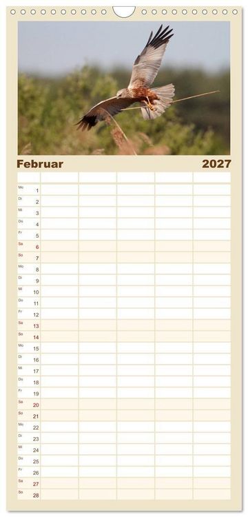 Produktbild: Familienplaner 2027 - Heimische Eulen und Greife mit 5 Spalten (Wandkalender, 21 x 45 cm) CALVENDO