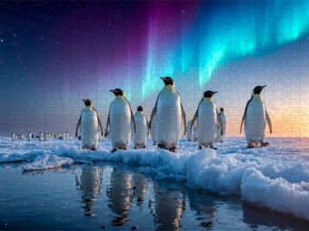 Produktbild: CALVENDO Puzzle Pinguin Wanderung im Schein des Polarlichts | 1000 Teile Lege-Gr&ouml;&szlig;e 64x48cm Foto-Puzzle f&uuml;r gl&uuml;ckliche Stunden