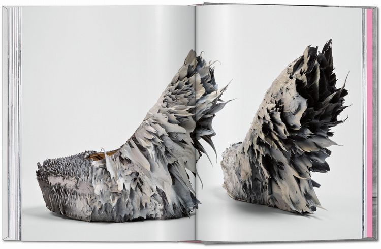 Produktbild: Shoes A&ndash;Z. 45th Ed.