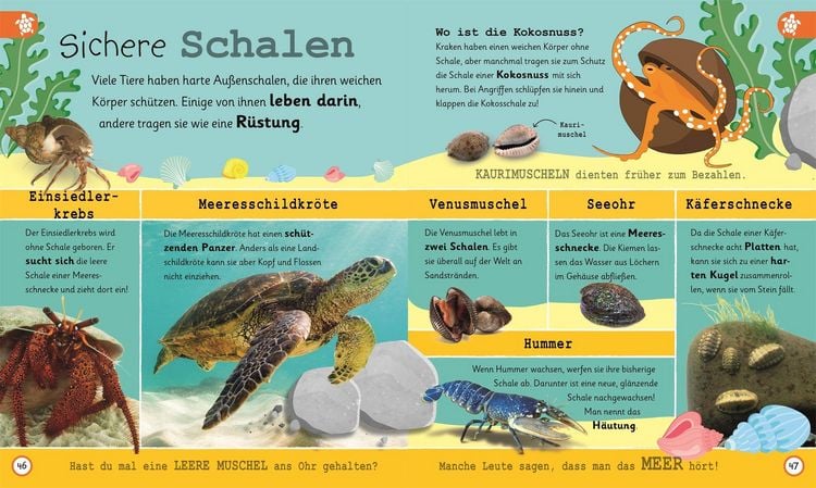 Produktbild: Wissen f&uuml;r Vorschulkids. Was wei&szlig;t du &uuml;ber Ozeane?
