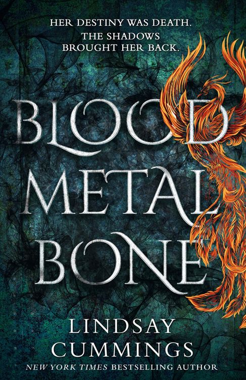 Produktbild: Blood Metal Bone