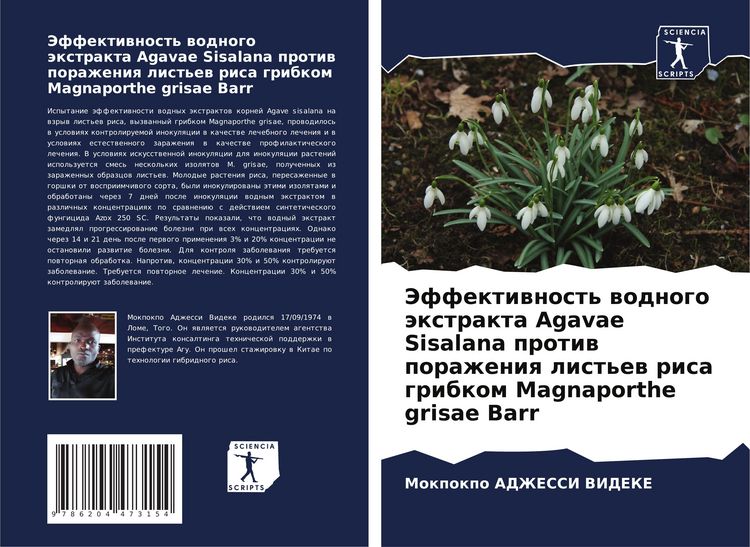 Produktbild: Jeffektiwnost' wodnogo &auml;xtrakta Agavae Sisalana protiw porazheniq list'ew risa gribkom Magnaporthe grisae Barr