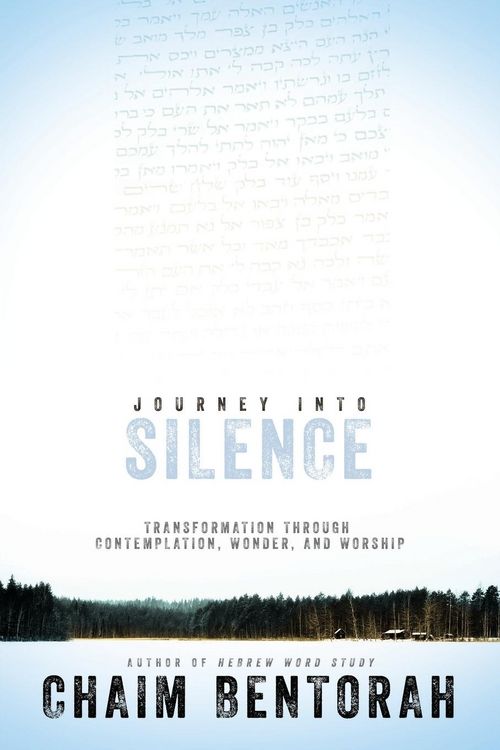 Produktbild: Journey Into Silence