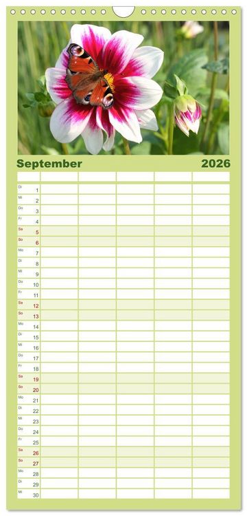 Produktbild: Familienplaner 2026 - Traumhafte Dahlien mit 5 Spalten (Wandkalender, 21 x 45 cm) CALVENDO