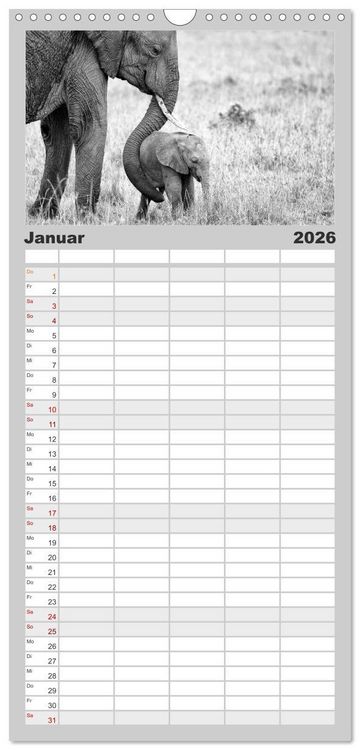 Produktbild: Familienplaner 2026 - Afrika Schwarz - Weiss mit 5 Spalten (Wandkalender, 21 x 45 cm) CALVENDO