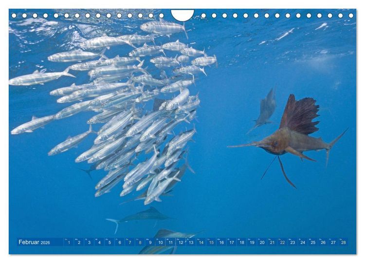 Produktbild: Farben und Muster der Erde (Wandkalender 2026 DIN A4 quer), CALVENDO Monatskalender