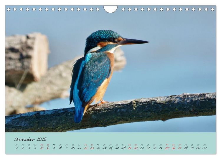 Produktbild: Wilde Toskana - von Ren&eacute; Schaack (Wandkalender 2026 DIN A4 quer), CALVENDO Monatskalender