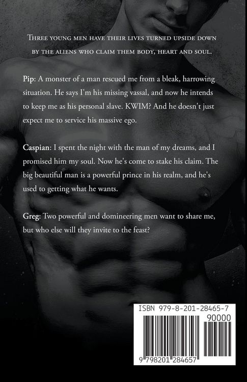 Produktbild: Soul [Gay Sci Fi Soulmates]