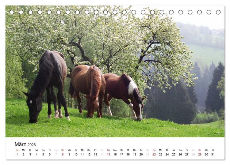 Produktbild: Bauernhoftiere (Tischkalender 2026 DIN A5 quer), CALVENDO Monatskalender