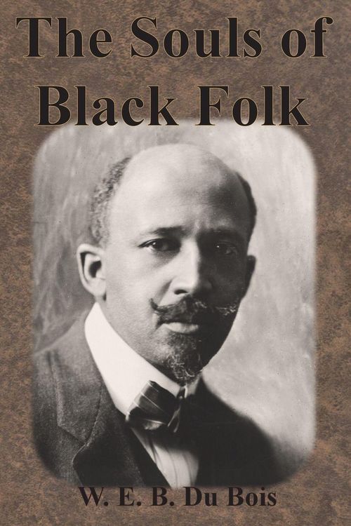 Produktbild: The Souls of Black Folk