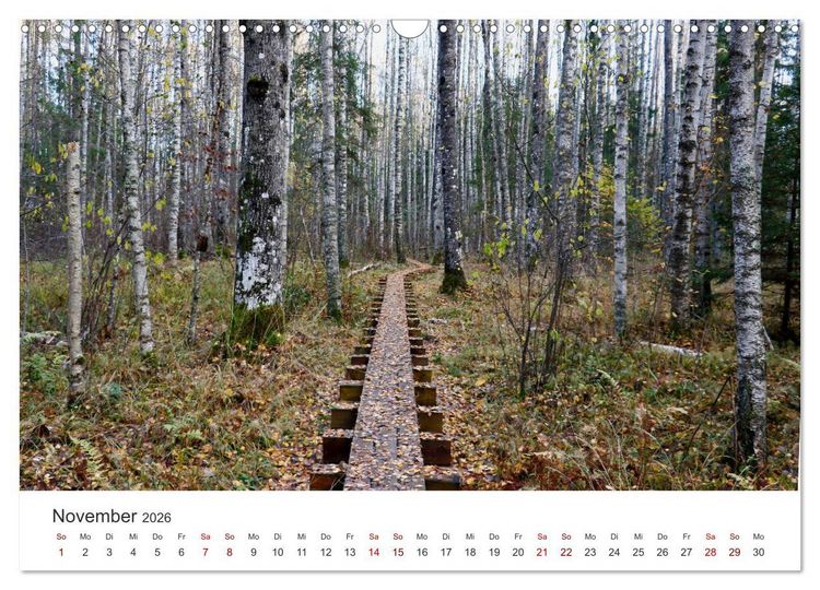 Produktbild: Estland - Pittoreske Sch&ouml;nheit im Baltikum (Wandkalender 2026 DIN A3 quer), CALVENDO Monatskalender
