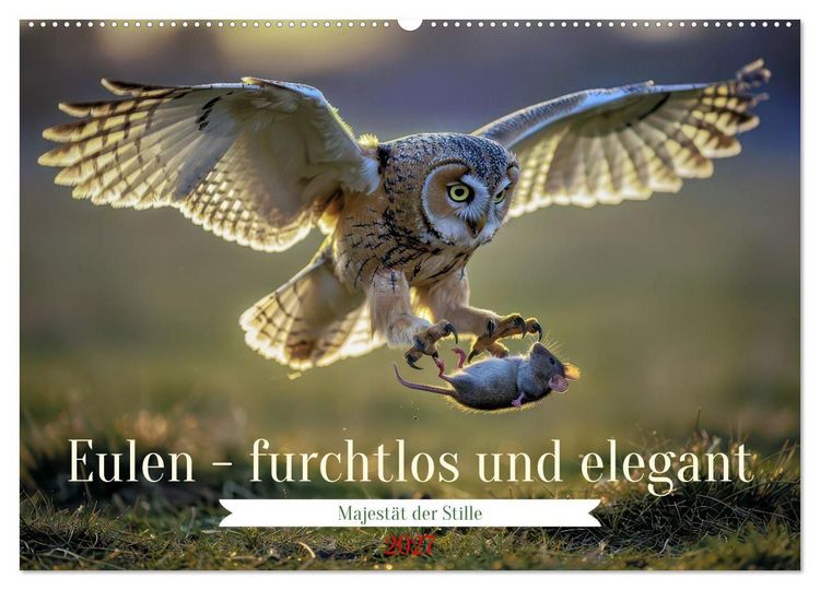 Produktbild: Eulen - furchtlos und elegant (Wandkalender 2027 DIN A2 quer), CALVENDO Monatskalender