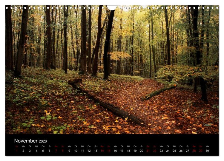 Produktbild: Wundersame Natur in Deutschland (Wandkalender 2026 DIN A3 quer), CALVENDO Monatskalender