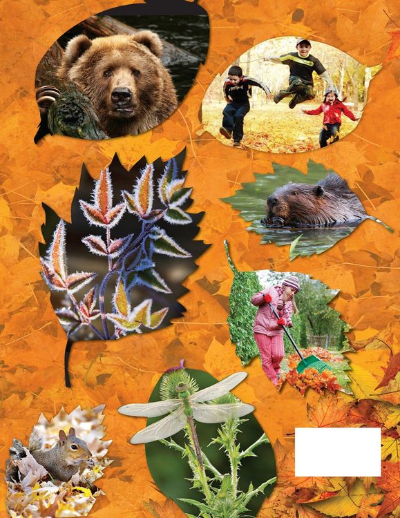Produktbild: Awesome Autumn
