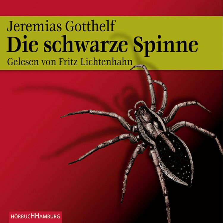 Produktbild: Die schwarze Spinne