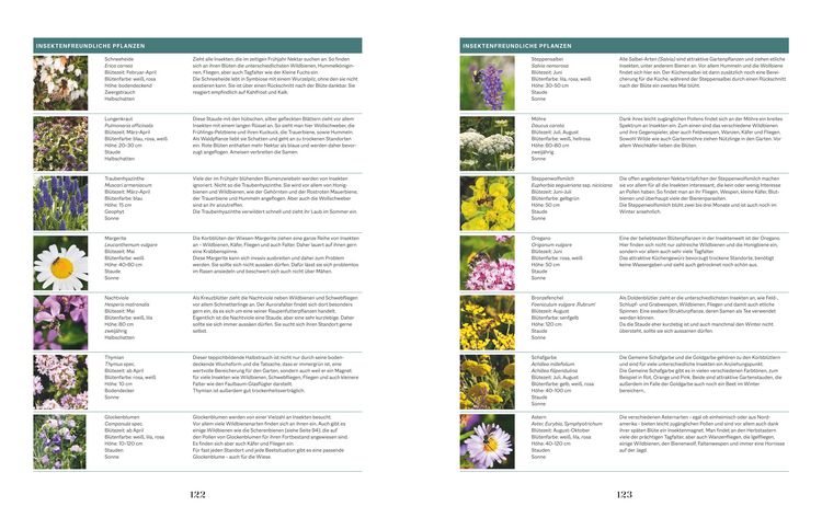 Produktbild: Die Welt in meinem Garten