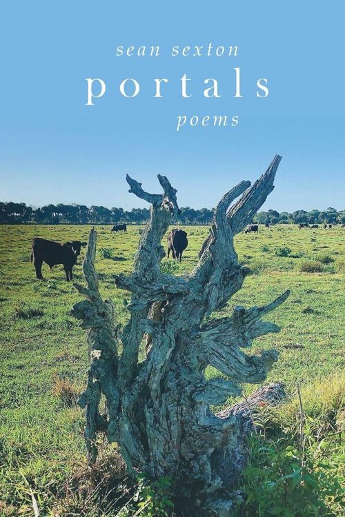 Produktbild: Portals