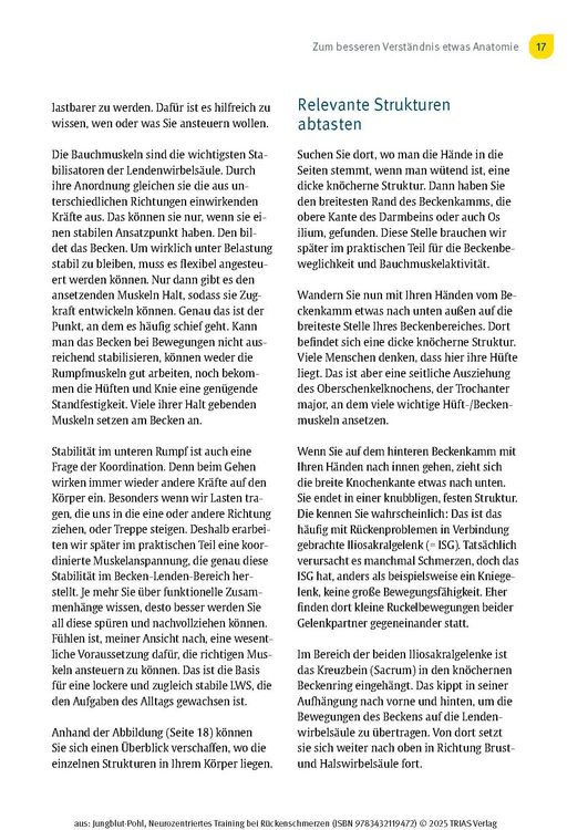 Neurozentriertes Training bei Rückenschmerzen