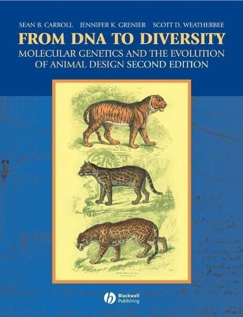 Produktbild: From DNA to Diversity