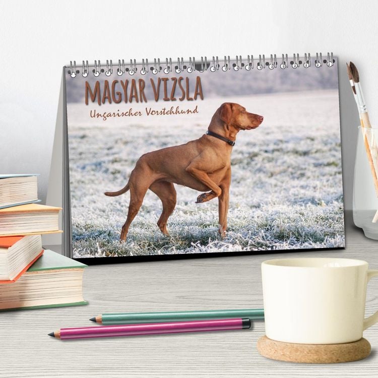 Produktbild: Magyar Vizsla - Ungarischer Vorstehhund (Tischkalender 2026 DIN A5 quer), CALVENDO Monatskalender