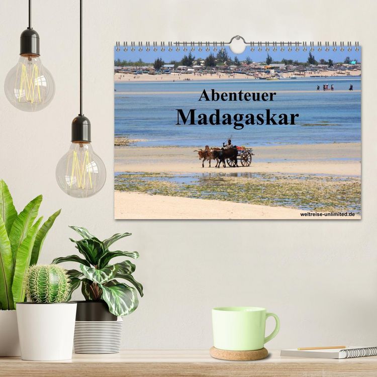 Produktbild: Abenteuer Madagaskar (Wandkalender 2026 DIN A4 quer), CALVENDO Monatskalender